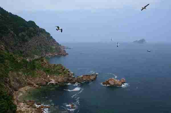 世界未解之谜4大罕见奇闻，看完让你怀疑人生。