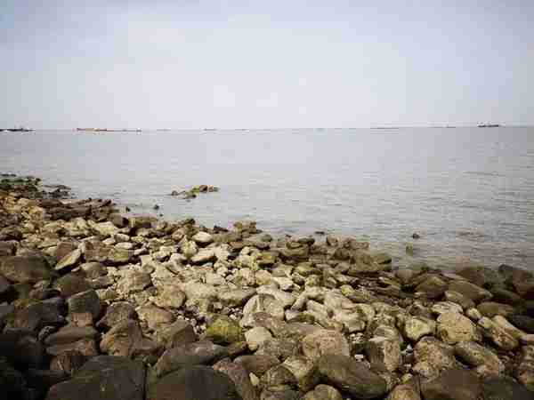 世界未解之谜4大罕见奇闻，看完让你怀疑人生。