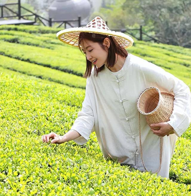 TVB当家花旦陈自瑶恩施大峡谷拍综艺穿民族服饰学采茶萌翻全网