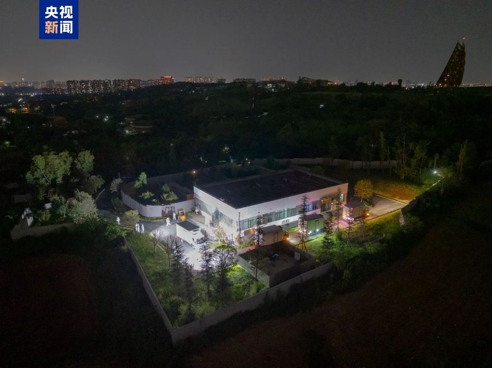 旅日大熊猫良浜结浜彩浜枫浜接受隔离检疫